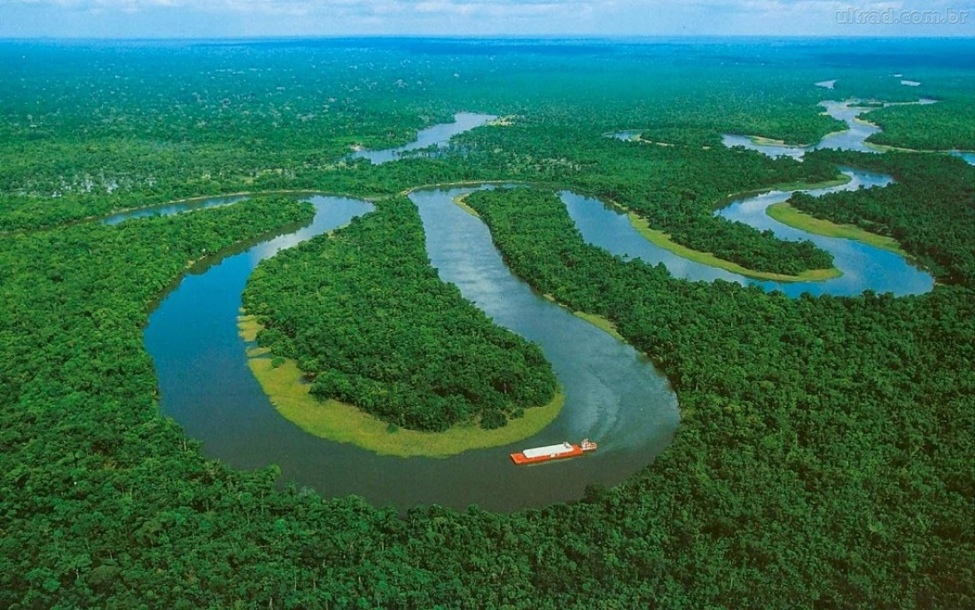 Vista aerea di un fiume tortuoso circondato dalla foresta amazzonica in Brasile.