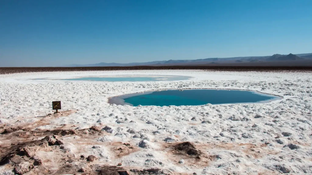 Turquoise lagoon surrounded by white salt crusts in a salt flat in the Atacama Desert, Chile