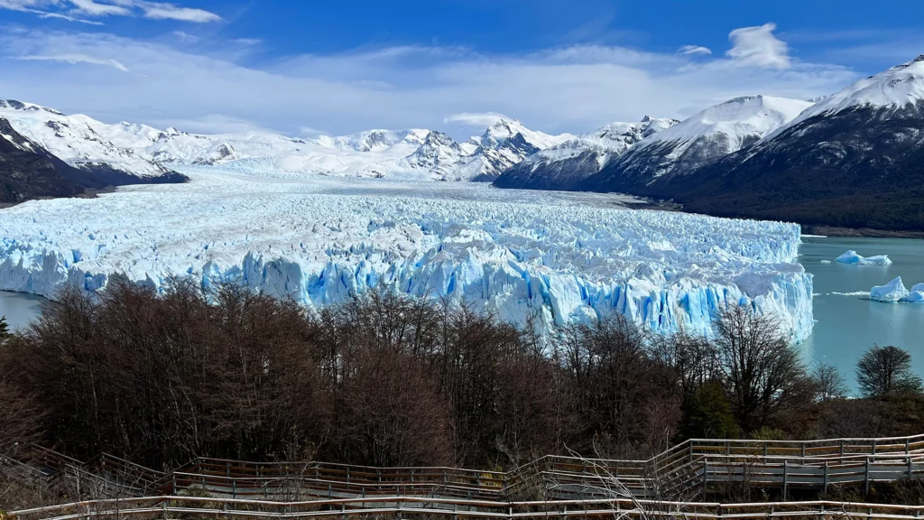 In front of Perito Moreno Glacier with a Patagonian forest in the foreground, El Calafate, Santa Cruz